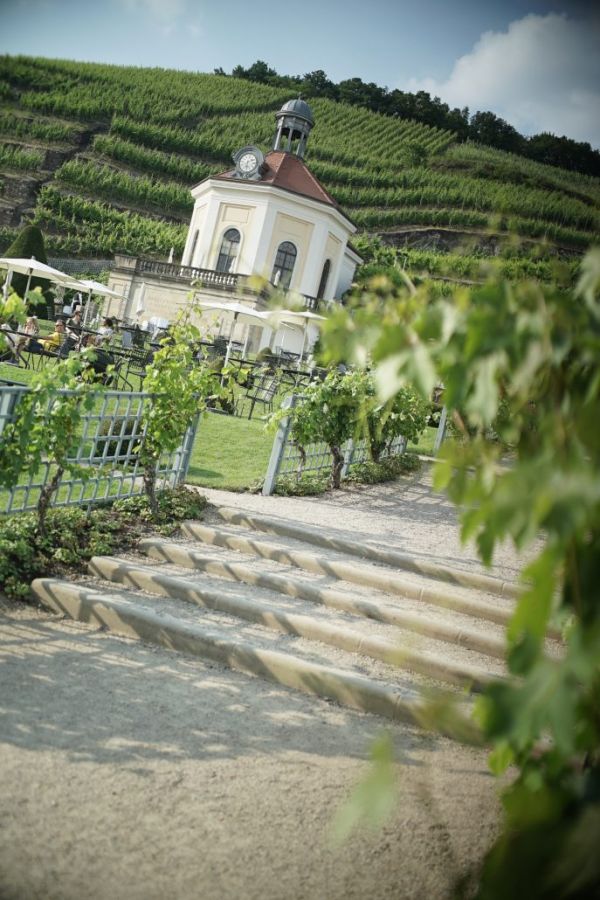 Summerwine im Elbflorenz